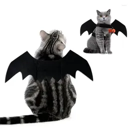 Cat Costumes Cosplay Props Unique Design Lovely Bat High Demand Orange Must Have Halloween Pet Dresses Clothes Durable