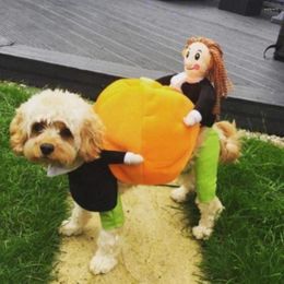 Dog Apparel Unique Pet Costume For Halloween Eye-catching Costumes Cute Pumpkin Design Fancy Dress Up Party Decor Dogs