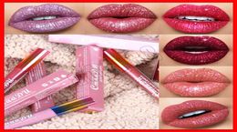 2019 CmaaDu Cosmetics Diamond Shine Matte Metal Lipgloss Gitter Liquid Lipstick 6 Colours Rainbow Tube Lip Makeup2771641