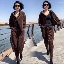 Women's Two Piece Pants Women Spring Autumn Fashion Two-piece 2024 Plush And Thick Loose Mother's Casual Harlan Pantsuit Female Temperament