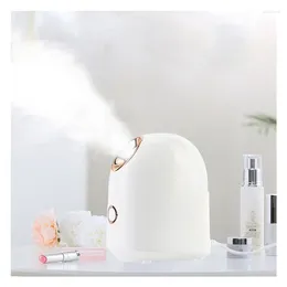 Decorative Plates Facial Steamer Nano Ionic Sprayer Face Spa Nebulizer Mister Skin Care Humidifier Moisturizer