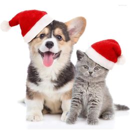 Dog Apparel 50 Pcs Pet Santa Hat Christmas Cat Winter Warm Plush Cap Xmas Party Decor Cute Cosplay Costume Wholesale X2