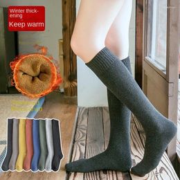 Women Socks In Long Winter Stockings Thick Cotton Solid Warm Thigh High Street Fashion Young Casual Knee Terry Harajuk