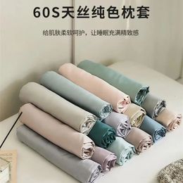 A pair of luxury 60S Tencel pillowcase single products cold summer pillowcase single products. 240426