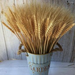 Decorative Flowers Wheat Stalks 100Pcs Natural Ear Of Grain Dried For Home Dining Table Arrangement Flower Art Wedding Decoration DIY