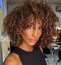 Chick and low maintenance brown balayage kinky curly short human hair wigs with fringe bang lace front refreshing idea for 2024 african american