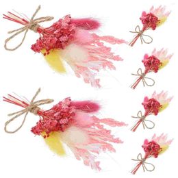 Decorative Flowers 6 Pcs Dried Flower Mini Wedding Decorations Accessories DIY Floral Tiny Natural Small Crafts