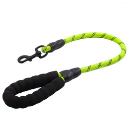 Dog Collars Padded Handle Short Comfortable No Pull Elastic Durable Training Easy Hold Heavy Duty Reflective Threads Leash Safe Portable