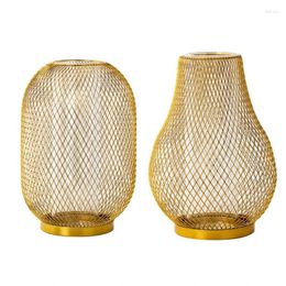 Vases Golden Wireframe Vase Plant Modern Restaurants Decoration Gift