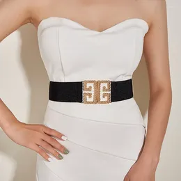 Belts Fashion High Elastic Full Twist To Buckle Decorative Dress Outside A Wide Belt Women's Suture Waist Seal