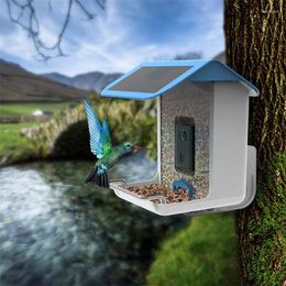 Other Bird Supplies Pinelake Outdoor IP65 Waterproof Parrot Feeder With HD Camera
