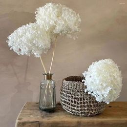 Decorative Flowers Dried Hydrangea Preserved Natural Wedding Christmas Flower Arrangement Home Table Room Decor