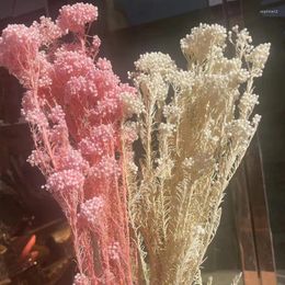 Decorative Flowers 50g/Length 40-45CM Natural Fresh Ramillete Flores Eternell Millet Flower Beauty Forever Bouquet For Wedding Gifts Gu