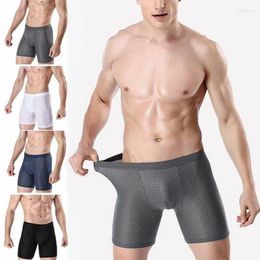 Underpants Men Fitness Stretchy Breathable Mesh Ice Silk Boxer Underwear Sexy Panties Bodysuit Comfortable Shorts