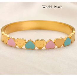 Tiffanyjewelry 18K Gold Plated Designer Bracelet Jewellery High Quality Love Gift Jewellery For Women New Stainless Steel Non Fade Bracelet 895