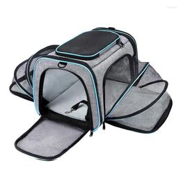 Cat Carriers Shoulder Travel Foldable Portable Handbag Bags Transport Pets Breathable Bag Dog Pet Carrier Outgoing Backpack