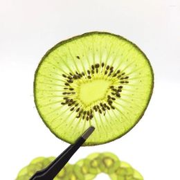 Decorative Flowers 5pcs Pressed Dried Kiwi Slices Fruit Plant Herbarium For Jewellery Postcard Invitation Card Phone Case Bookmark Making DIY