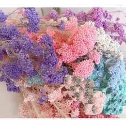 Decorative Flowers 50g Natural Millet Fruit Dried Flower Wholesale Artificial Bridal Wedding Bouquet Gifts For Guests Mothers Day C