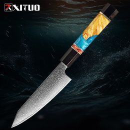 XITUO Fruit Paring Knife Damascus Steel Vegetable Peeling Knife Slicer Meat Fish Knives Sharp Japanese knife octagonal handle