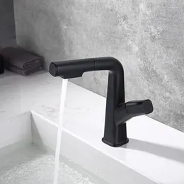 Kitchen Faucets Black Stainless Steel Pull-up Faucet And Cold Basin Toilet Sink