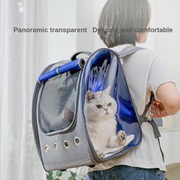 Cat Carriers Backpack Porta Cats Ita Bag Transportin For Small Dogs Transparent Pet Items Carrying Wheels Large Capacity Backpacks Dog