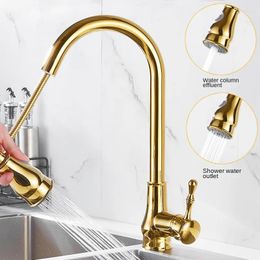 Kitchen Faucets 2 Modes Luxury Brass Gold Faucet Rotatable Mixer Pull Out Sink Tap Single Handle Hole And Cold Water