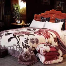 Blankets Raschel Blanket Double-Layer Thickened Coral Fleece Student Dormitory Single Double Quilt