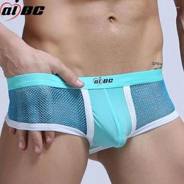 Underpants Sexy Underwear Men Sheer Fishnet Gay Male Panties See Through Lace Gauze Mini Boxers Cute