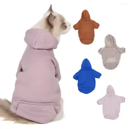 Dog Apparel Pet Hoodie With Pockets Two-leg Clothes Soft Kitten Puppy Sweet Pullover Warm Dogs Cats Hooded Sweatshirt Supplies