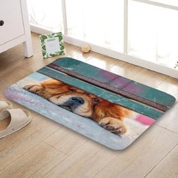 Carpets HEARMNY Arrival Doormat Chow Cute Home Mat Machine Made Anti Slip Carpet Living Room/Hallway Bath For Kids Gift