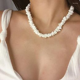 Choker Style Summer Sea Shells Beads Clavicle Chain Necklace For Women And Men Jewellery Collar 2024 Fashion