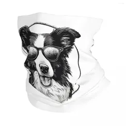 Scarves Border Collie Bandana Neck Gaiter Printed Wrap Scarf Multi-use Headwear Running Unisex Adult Winter