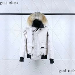 goose jacket Top Parkas Coats Designer Mens Womens Jackets Designers Down Canadian Jackets Jassen Puffer Big Fur Hoodies Fourrure Outer Canadas Goosejacket 890