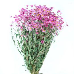 Decorative Flowers Wholesale Decor Eternal Long Lasting Preserved Flower Little Star For Wedding Decoration