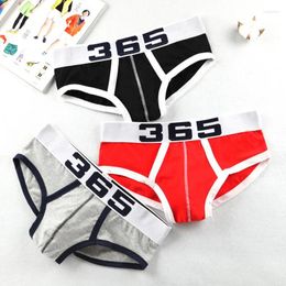 Underpants Sexy Men Underwear Briefs Cotton Jockstrap Gay Mens Cuecas Brief Bikini Under Wear Man Srting