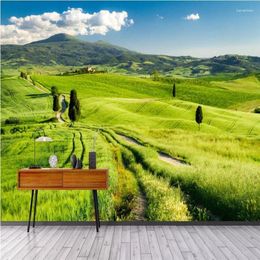 Wallpapers HD Naked Grassland Scenery Landscape Background Wall Painting Professional Production Of Wallpaper Murals Custom Home