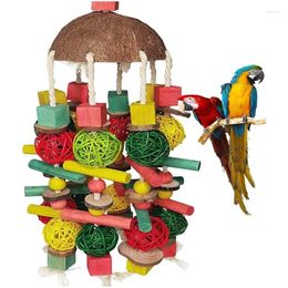 Other Bird Supplies Large Parrot Nibbling Toy Coconut Shell Coloured Rattan Ball Wooden Factory Stock