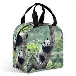 Storage Bags Panda45Insulated Lunch Bag Durable Reusable Box Boxes For Men Women Travel Picnic