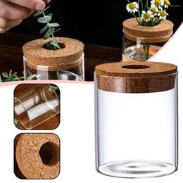 Vases Simple Cylindrical Hydroponic Plant Glass Vase Modern Flower Arrangers For Office Desk Home