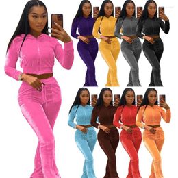 Women's Two Piece Pants Velvet Tracksuit Women Set 2024 Autumn Solid Colour Zipper Pocket Short Hoodie Wide Leg Casual Outfits Streetwear