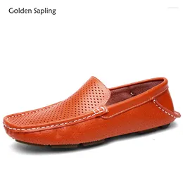 Casual Shoes Golden Sapling Summer Loafers Hollow Genuine Leather Men's Breathable Business Flats Fashion Formal Men Loafer