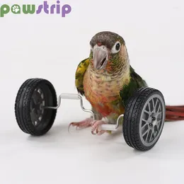 Other Bird Supplies Parrot Balance Toy Birds Intelligence Training Interactive Mini Bicycle Wheels Roller For Small Medium Pet