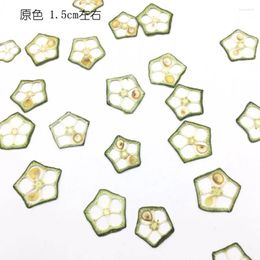 Decorative Flowers 12pcs Dried Pressed Vegetable OKra Slices Plant Herbarium For Exopy Jewellery Po Frame Phone Case Bookmark Craft DIY Making