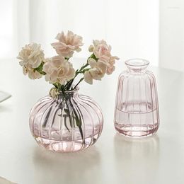 Vases Decor Modern Living Room Vase Bud Glass Hydroponics For Transparent Flower Decorative Bottle Table Mini Ornaments Plant