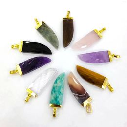 Pendant Necklaces Silver Gold Plated Gemstone Horn Natural Crystal Quartz Healing Stone Pepper Charm For Necklace Obsidian Amethyst