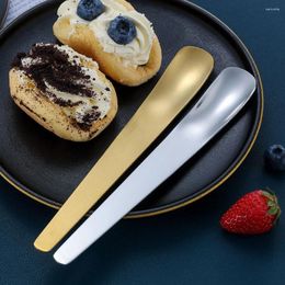 Spoons 2 Pcs Gold) 2pcs Salt Spoon Portable Pudding Stainless Steel Scoop Long Handle Ice Cream Compact Tea
