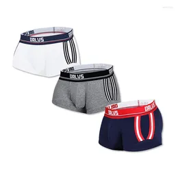 Underpants 3 PCS/LOT Brand Sexy Men Boxer Cotton Underwear Male Pants Breathable U Convex For Gay Quick Dry Comfortable