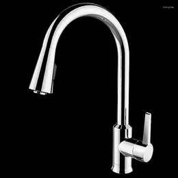 Bathroom Sink Faucets Faucet Household Kitchen Pull-out And Cold Water Dual-use Rotary 21366