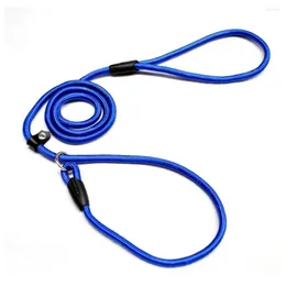 Dog Collars 06 127cm Pet Nylon Adjustable Loop Training Lead Collar Leash Traction Rope (Blue)