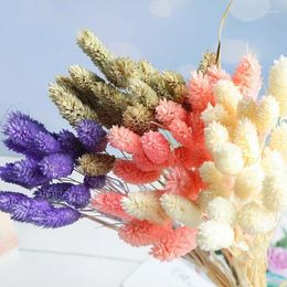 Decorative Flowers 100pcs Dried Gem Grass Natural Preserved Phalaris Bouquet Gift For Living Room Hoom Boho Decor Wedding Decoration